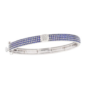 COLOR BANGLES - BANGLE (BR4010524)